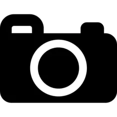 Vintage Digital Camera