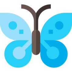 蝴蝶
