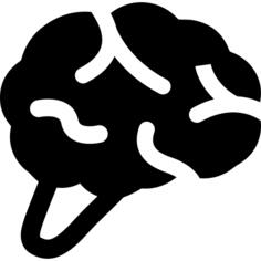 Brain