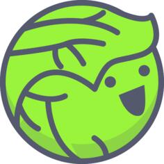 Cabbage