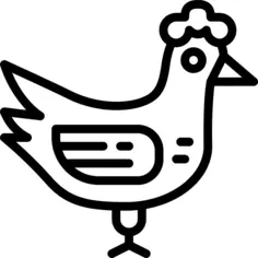 Chicken