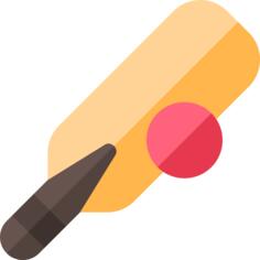 Cricket