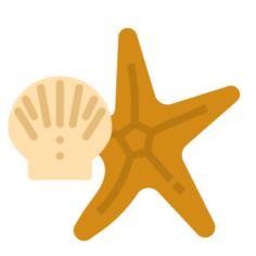 海星