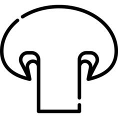 香菇