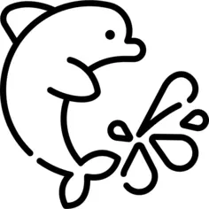 Dolphin