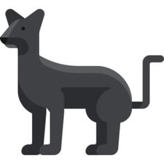 Panther