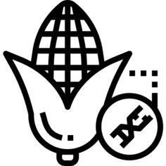 GMO