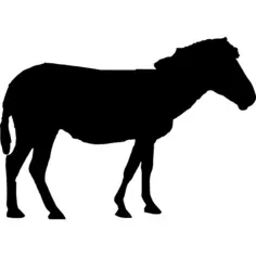 Horse silhouette