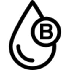 血型B.