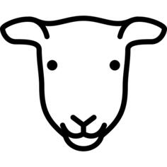 Female Sheep Head