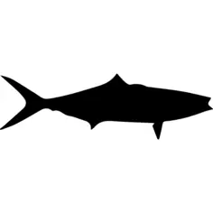 Fish rainbow runner shape