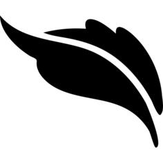 植物叶子形状