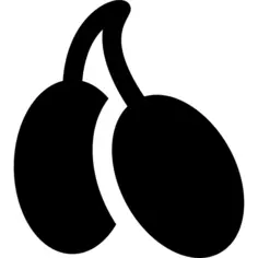 橄榄