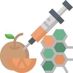 Gmo