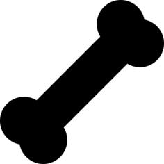 Bone