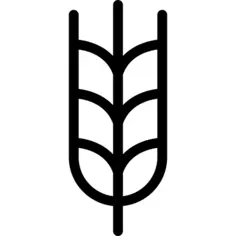 小麦