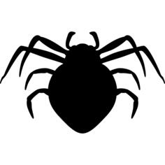 Spider arthropod animal silhouette