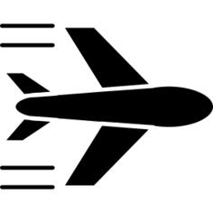 Airplane flying