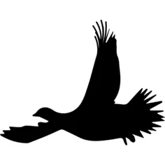 Grouse bird flying silhouette