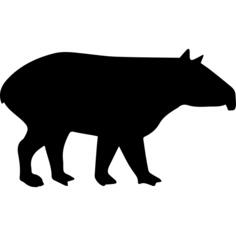 Tapir mammal shape from side