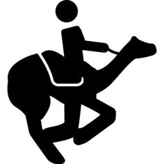Camels race