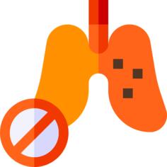 Lungs
