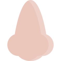 Nose
