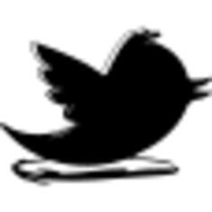 Twitter sketched social logo