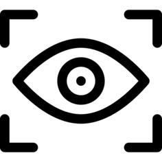 Vision