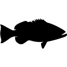 Fish shape of Cubera snapper