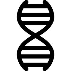 基因
