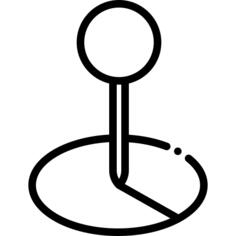 Pin