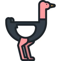 鸵鸟