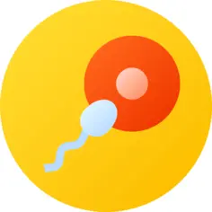 Fertilization
