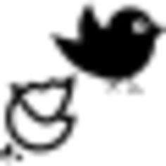 Black bird and broken egg