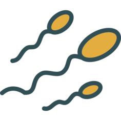 Sperm