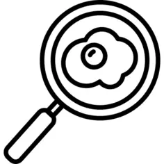 Fried Egg and Pan