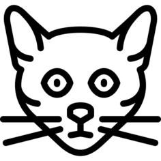 缅甸猫