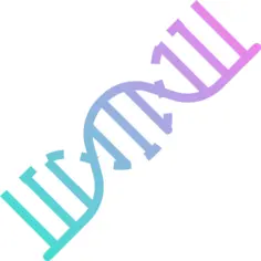 脱氧核糖核酸