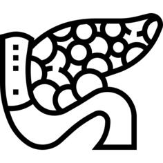 胰腺