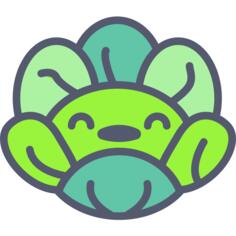 生菜