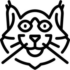 挪威森林猫