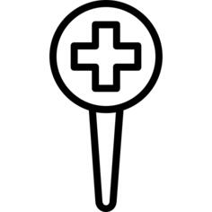 Pin