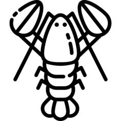 龙虾