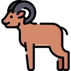 Goat