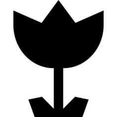 Angular flower