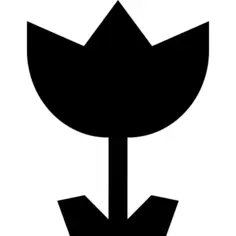 角花