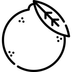 橙子