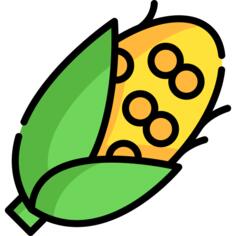 玉米