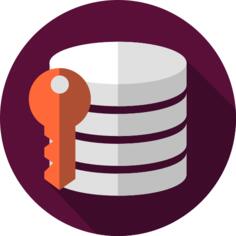 Database
